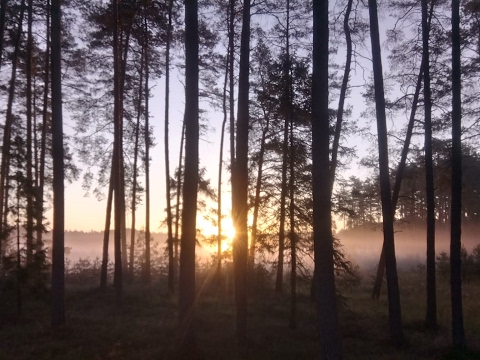 [Prawo Serca] List od edenczyka