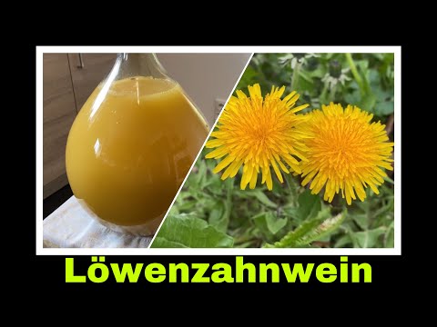 Löwenzahnwein - Wein aus Löwenzahnblüten selber machen | Selbstversorgung
