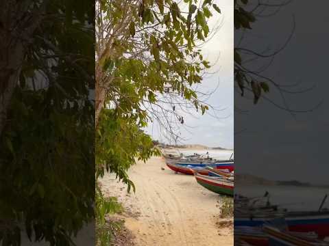 Praia das Curimãs - Distrito de Bitupitá na Cidade de Barroquinha/CE