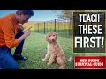 NEW PUPPY SURVIVAL GUIDE: The FIRST Things to Teach Your NEW PUPPY! (EP: 3)