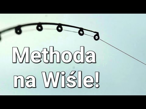 Method Feeder Catches the Biggest Fish on the River! Classic Feeder and Method Feeder! Fishing on...