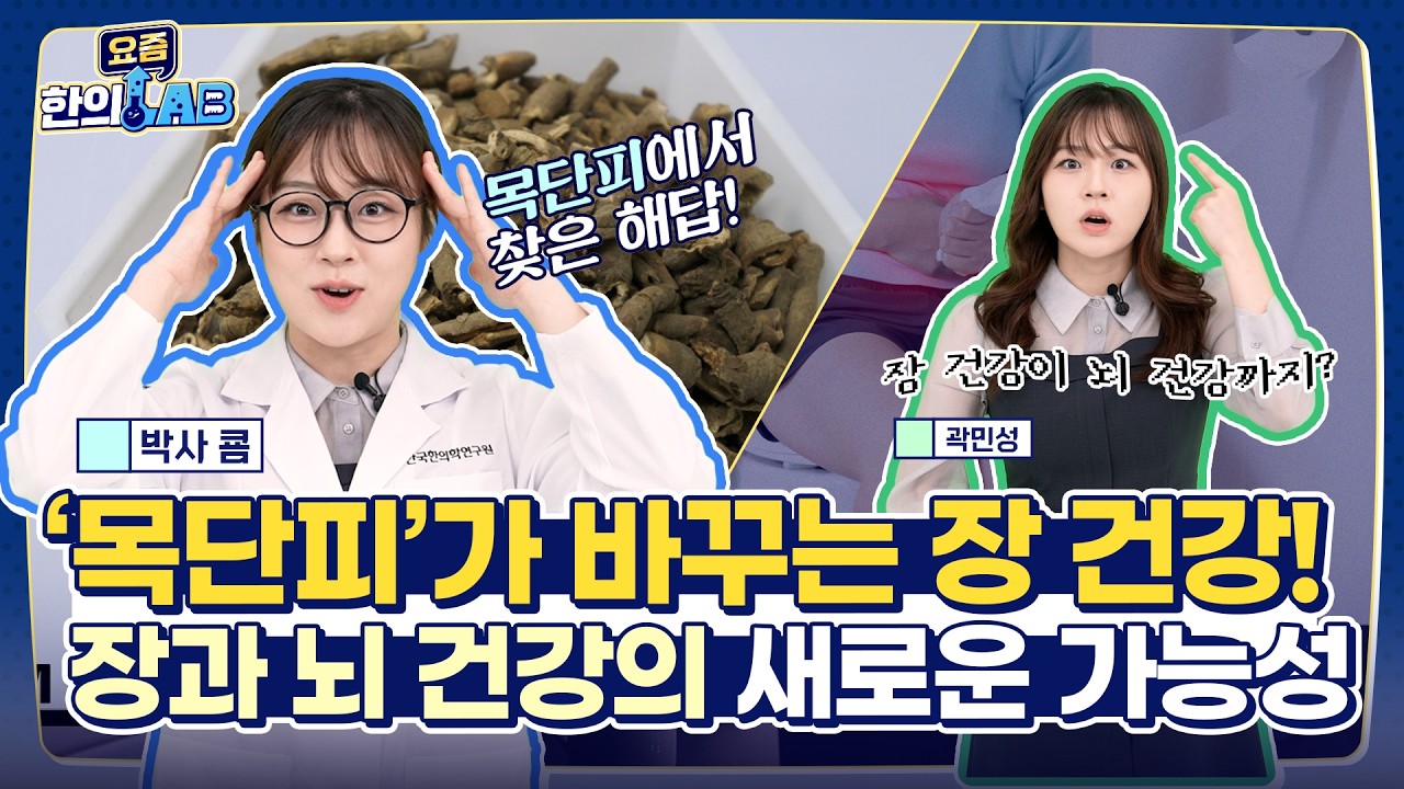 장 건강이 뇌 건강까지? '목단피'가 주목받는 이유_요즘 한의LAB
