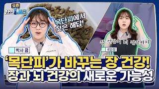 장 건강이 뇌 건강까지? '목단피'가 주목받는 이유_요즘 한의LAB