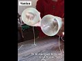 How to make plastic cup telephone