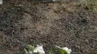 Mil Vezes e Tenha Calma - Luana Carla e Jéssica Paula