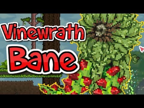 THE KING OF THE JUNGLE! | Terraria Epic Modpack SE11 | PART 24 | Terraria Let's Play | Terraria Mods