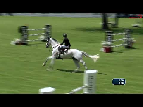 Michael Viehweg gewinnt den Preis der tfm Wohnbau GmbH & Co. KG I Pferd International München 2022