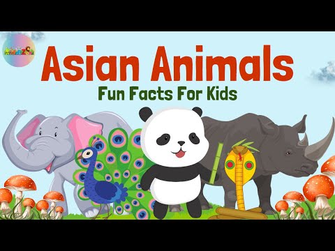Asian Animals - Fascinating Animal Facts From Asia #animalnames #asia #funfacts