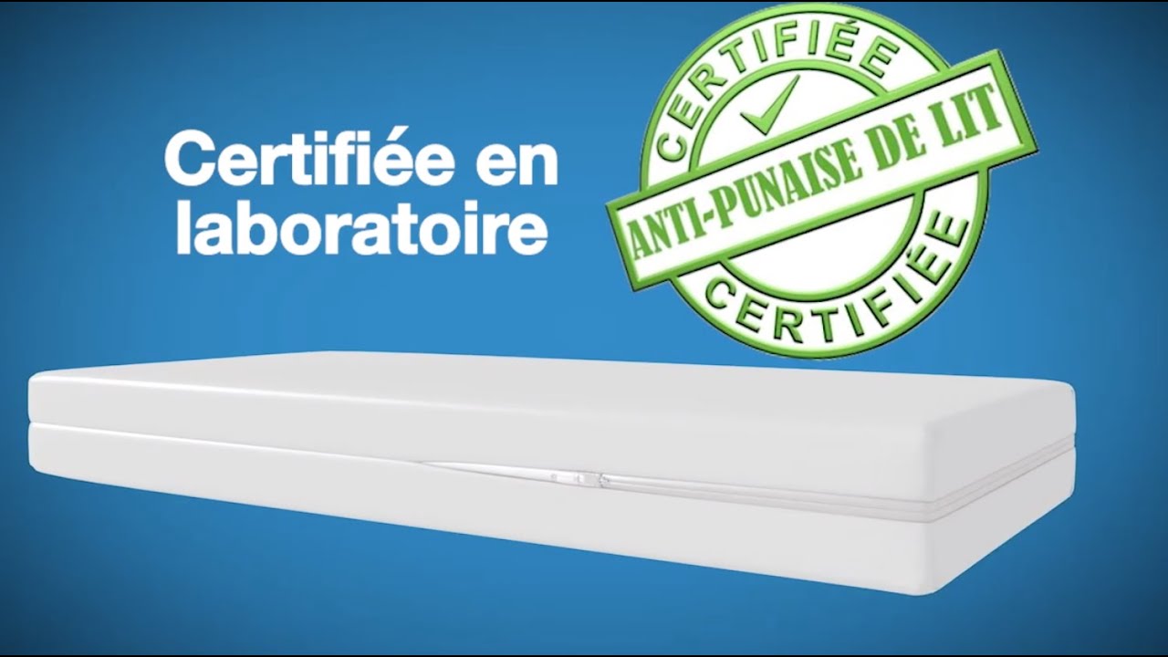 Housse anti punaise de lit Mattress Safe - Pourquoi c’est la meilleure 