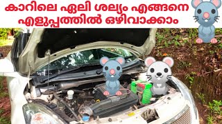 How to protect your car from rats/How to avoid rat from your car.