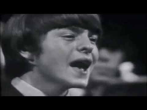 NEW * Fever - The McCoys {Stereo} 1966