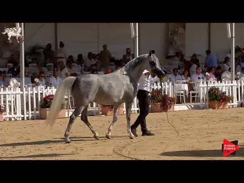N.64 PRUNELLA - Menton 2019
