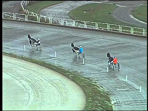 Trotto 01/10/2015 - 1° prova di qualifica