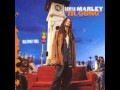 Damian "Jr. Gong" Marley - Harder (Interlude)
