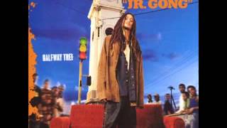 Damian "Jr. Gong" Marley - Harder (Interlude)