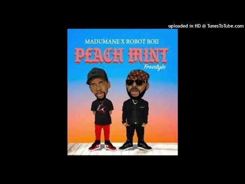 Madumane x Robot Boii   Peach Mint Freestyle prod By DJ Maphorisa Soa Mattrix