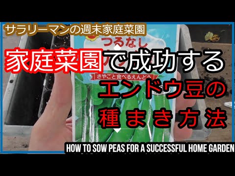 園芸 豆の種まき方法は?