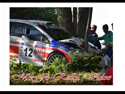 Rally Città di Torino 2015