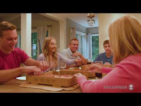 What is the difference between Soft White, Bright White and Daylight light bulbs?