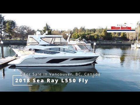 Sea Ray L550 Fly video