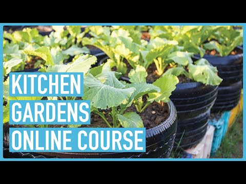 Profitable Pig Farming and Best Practices for success Course Outline