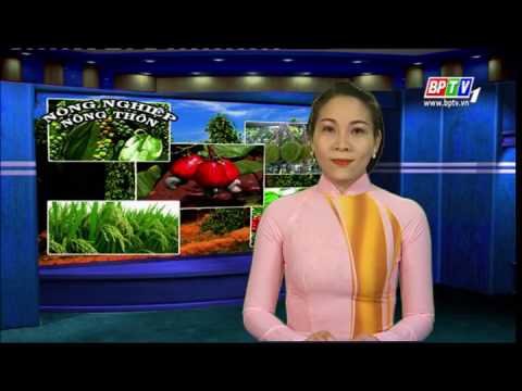 NPK + Đất hiếm Doanh Nông tại Bình Phước
