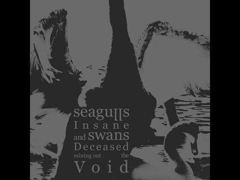 Seagulls Insane and Swans Deceased Mining Out the Void - ST [Full] (2012) - experimental black metal