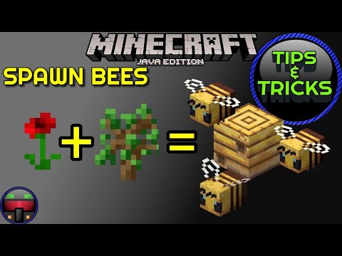 How to Spawn Bees in Minecraft Survival Mode