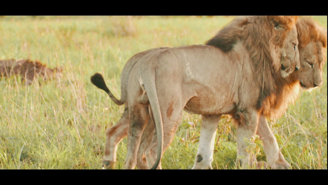 Beautiful Uganda- Kidepo Valley National Park