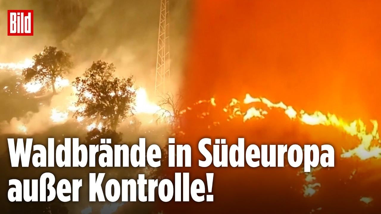 Waldbrände in Südeuropa: Spanien und Frankreich kämpfen gegen die Flammen – Notstand ausgerufen!