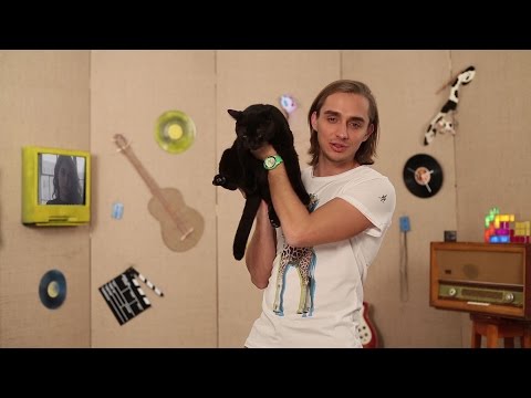 Cotofan: Little Mix - Shout Out to My Ex , XOXO - Bla Bla Bla