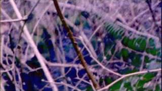 Night Beats - H-Bomb