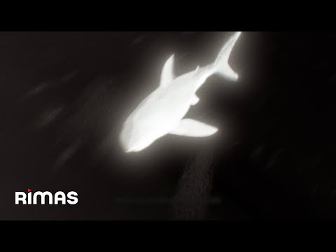 Yandel, J Balvin - Sin Vergüenza (Visualizer) / Infinito