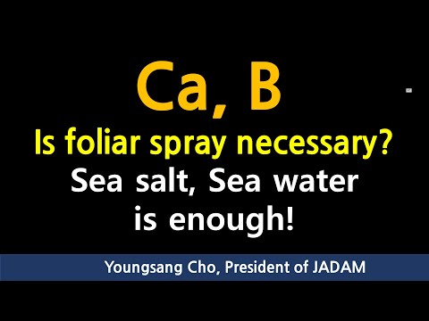 , title : 'Do you need foliar spray of Ca and B? Replace with sea salt ! [Multi-language subtitles]'