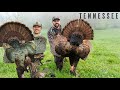 Tennessee GOBBLERS Up Close This Place Was LOADED