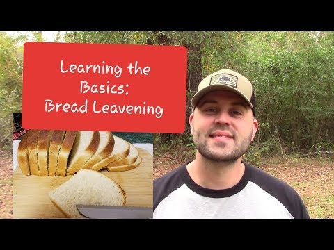 Understanding Breads and Leavening: Learn the Basics to Thrive