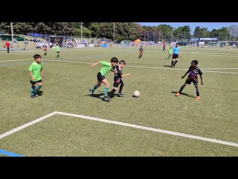 Germany Cup 2023 - Frankfurt - U9 - BSC Frankfurt - Learn More (B) - Final round 1-4 - Halbfinale