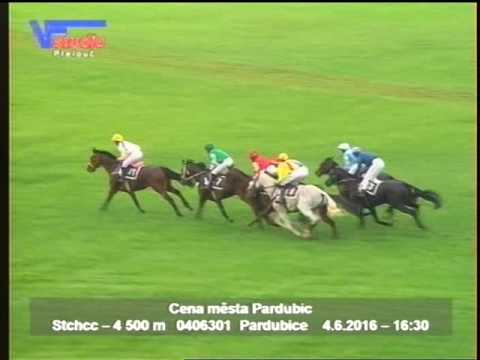 4. 6. 2016 - 7. dostih - Cena města Pardubic