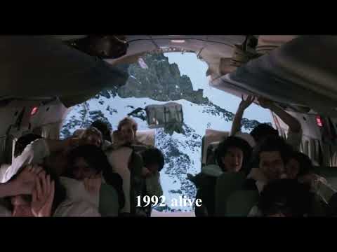andies plane crash in film 1976-2024