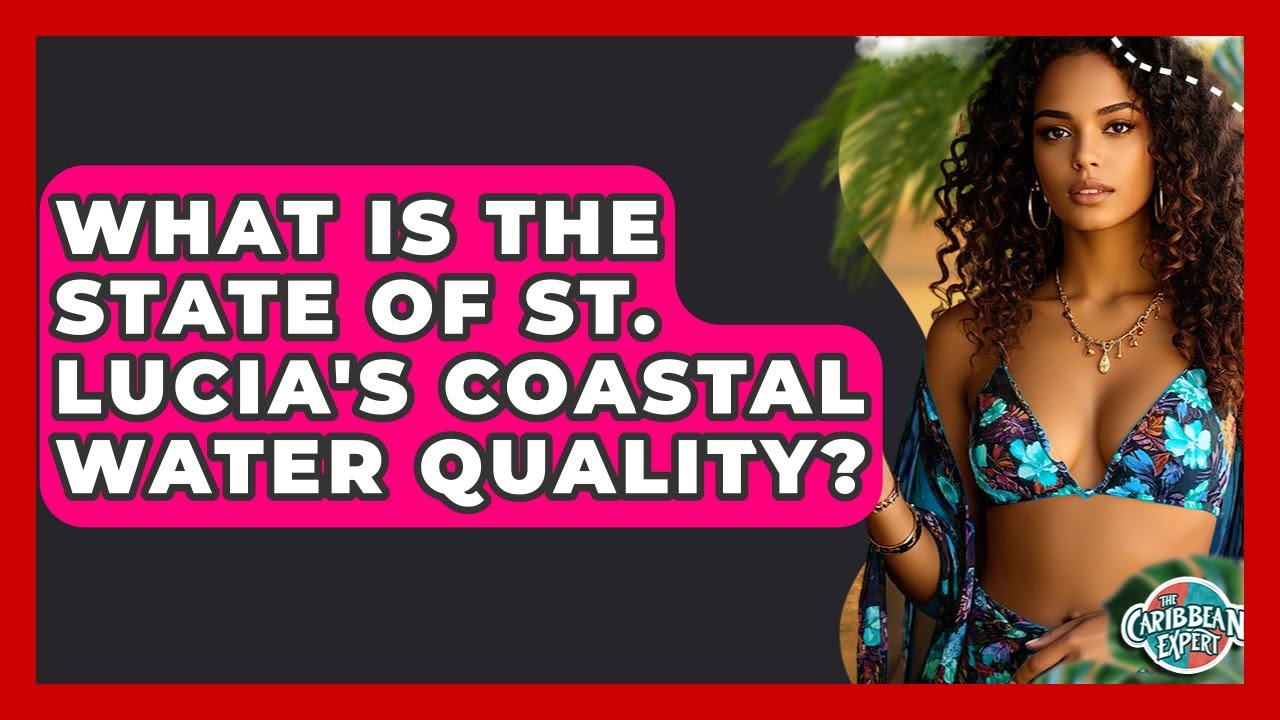 What Is The State Of St. Lucia's Coastal Water Quality? - The Caribbean Expert