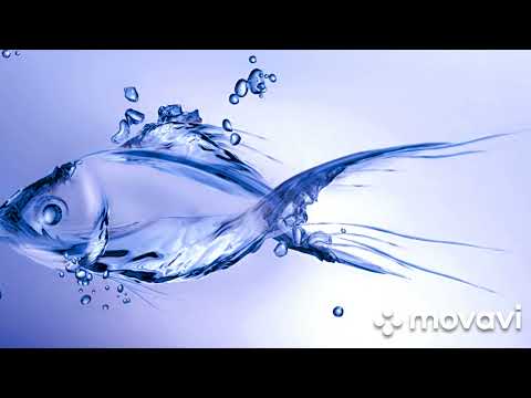 Haiena - like a fish in water (mastering by vanth)