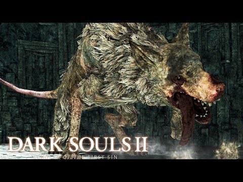 AUTORITA' REALE DEI TOPI - Dark Souls 2 ITA
