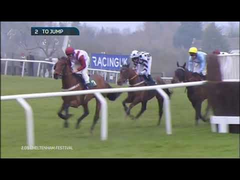2015 Vincent O'Brien County Handicap Hurdle - Cheltenham Festival