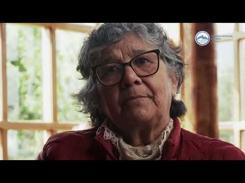 Los Pioneros de Lago Verde