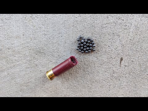 Federal Shorty Shotgun Shells