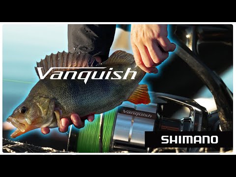 Ultimative Performance beim Twitchen - mit der VANQUISH FC den Winterbarschen auf der Spur