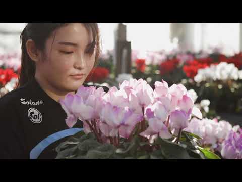伊勢原農場