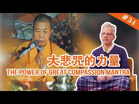 宣化上人爭議