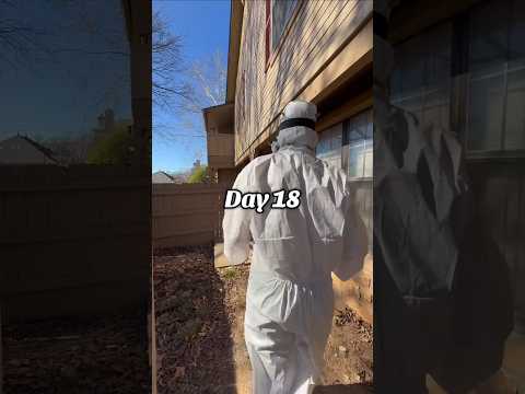 Day 18 of digging out of my childhood home, and another day in my childhood bedroom. It really is am