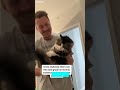 Cat Videos Trending ‍ Part 3118